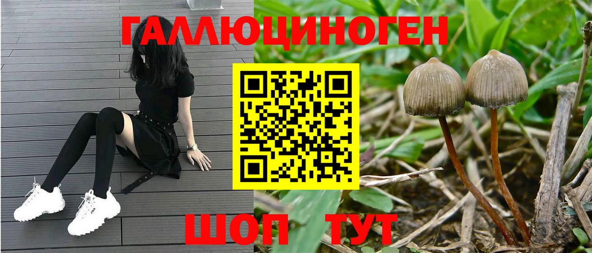 Псилоцибиновые грибы Magic Shrooms  Псилоцибиновые грибы Magic Shrooms  Осинники  Вход с VPN 